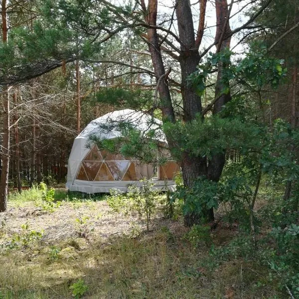 Glamping Drzwi Do Lasu，位于索库乌卡的酒店