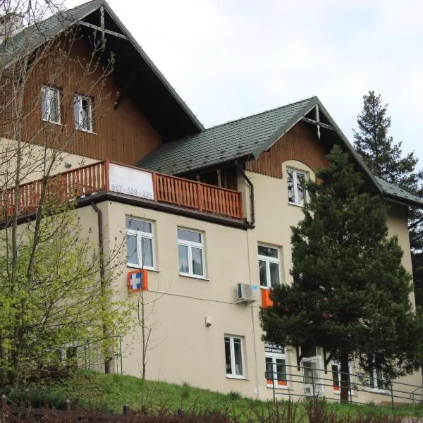 Szczawnica Apartamenty nad Apteką，位于涅兹卡城堡的酒店