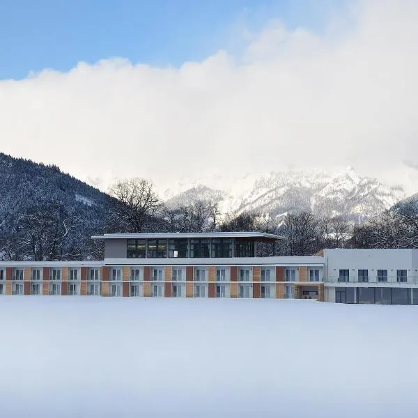 斯比罗多姆酒店，位于阿德蒙特的酒店