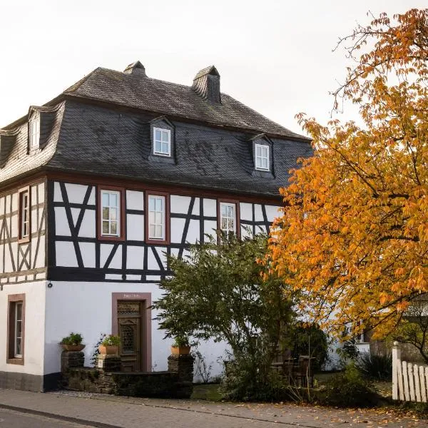 Rißbacher Hof Mansarde anno 1737，位于特拉本特拉巴赫的酒店