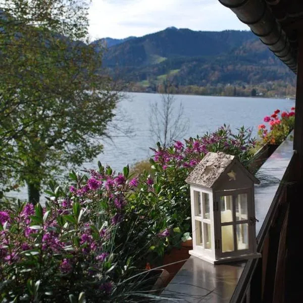 Sonniges Appartement am Tegernsee，位于施利尔塞的酒店