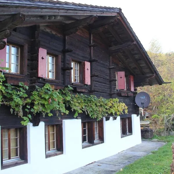 Chalet Bergwelt - Panoramic view，位于弗鲁蒂根的酒店