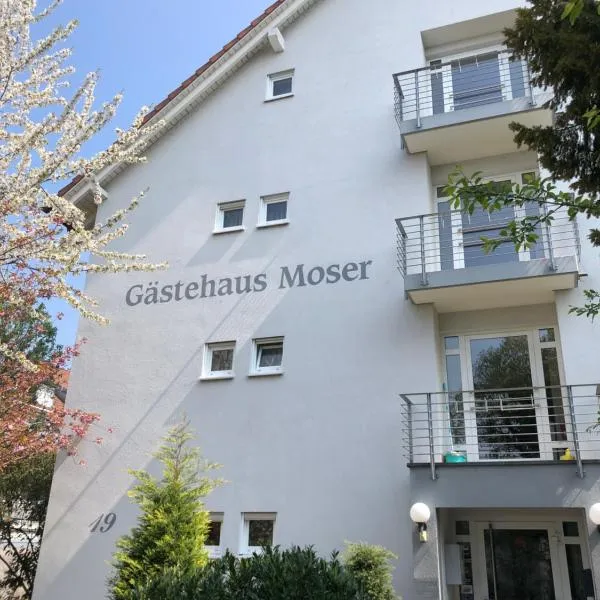 Gästehaus Moser，位于莱茵河畔威尔的酒店