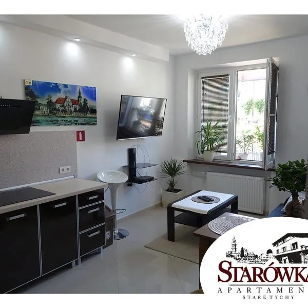 STARÓWKA Apartament Stare Tychy，位于蒂黑的酒店