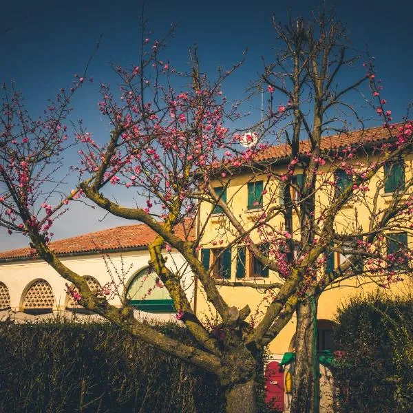 乐维涅莫罗斯纳旅馆，位于Torre di Mosto的酒店