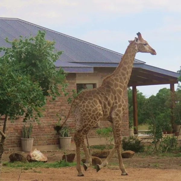 Mkhiweni Villa at Dombeya Wildlife Estate，位于姆巴巴内的酒店