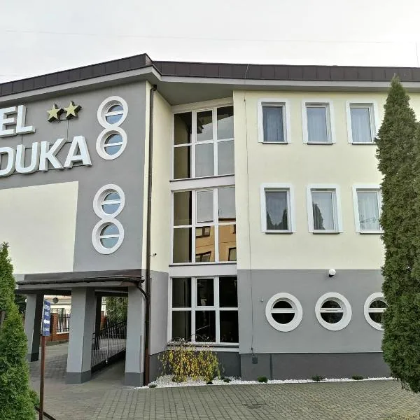 Hotel Duka，位于华沙的酒店