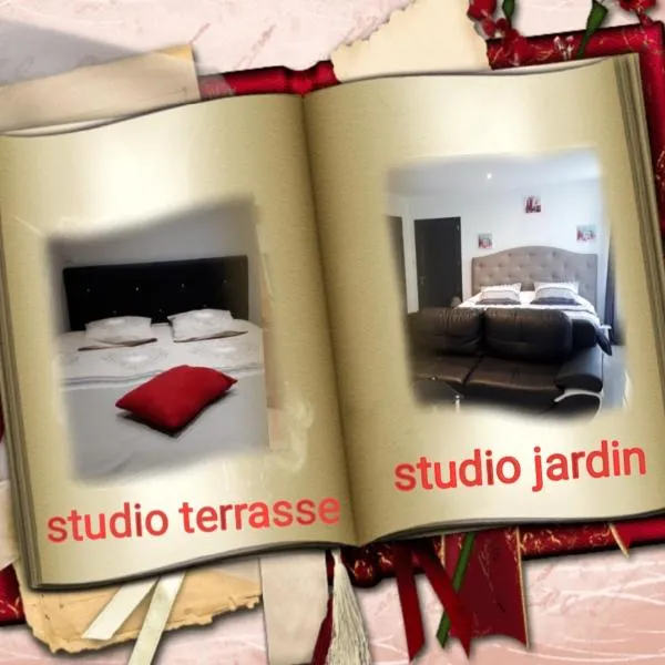 Au Paradis des Crins avec un studio rez de chaussée jardin et studio en duplex avec terrasse，位于Templeuve的酒店