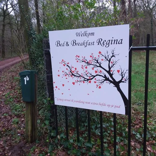 Regina Vught，位于菲赫特的酒店