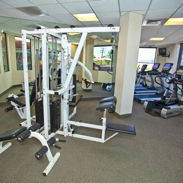 Carson Valley Motor Lodge and Suites，位于明登的酒店