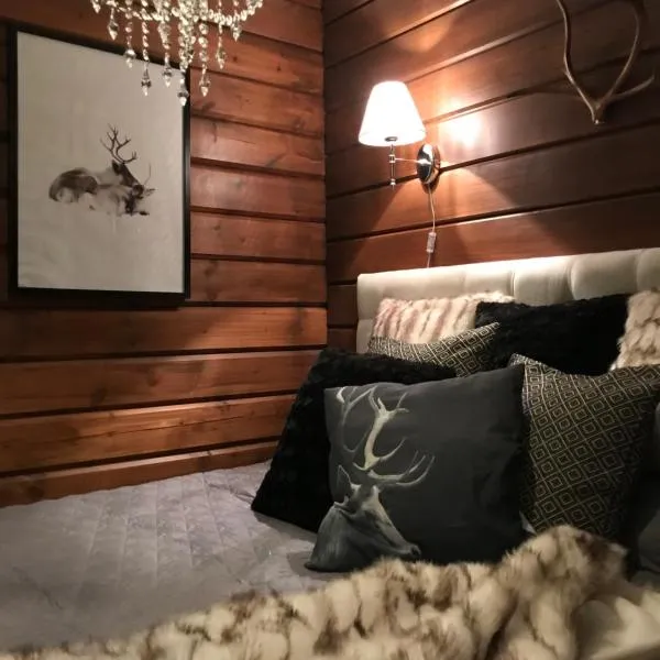 Levinlento，位于列维的酒店