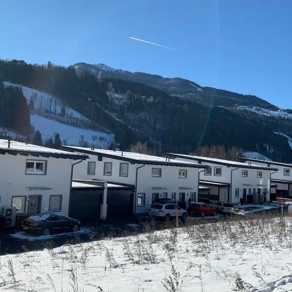 Haus Schladming，位于哈尔施塔特的酒店