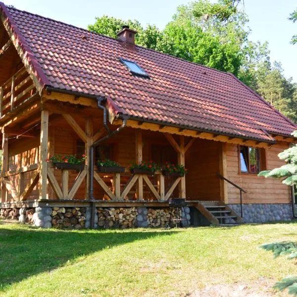 Letnisko Zalesie，位于Rentyny的酒店