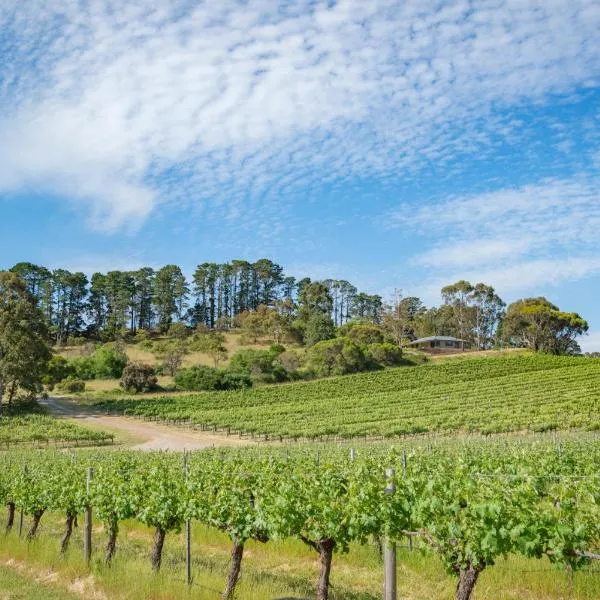 McLaren Vale Getaways，位于McLaren Flat的酒店