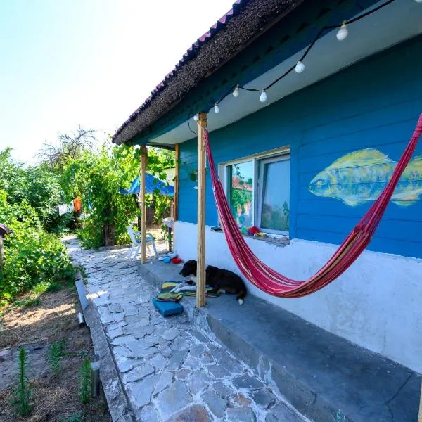Danube Delta Hostel Homestay & Camping，位于苏利纳的酒店