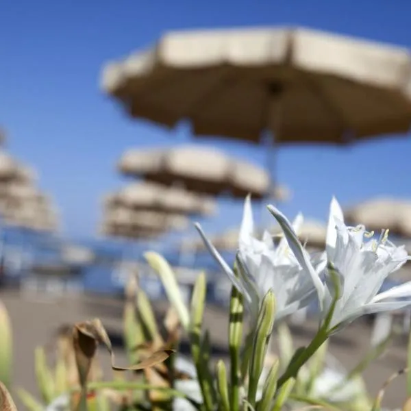 Isola Rossa · Villetta Isola Rossa con spiaggia&piscina，位于阿尔比尼娅的酒店