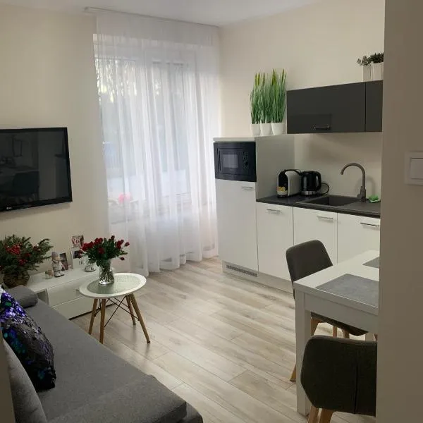 Apartament Walczaka 11 MIEJSCE PARKINGOWE，位于乔左维尔考普尔斯基的酒店