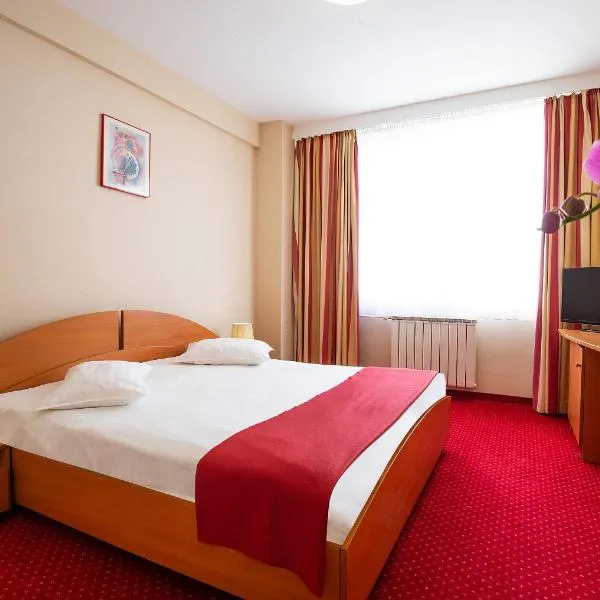 Hotel Dana，位于Viile Satu Mare的酒店