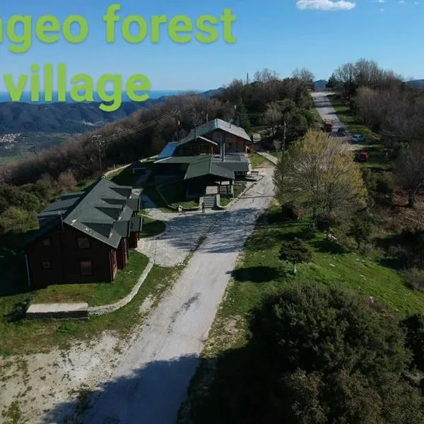 Pangeo forest village，位于Mousthéni的酒店