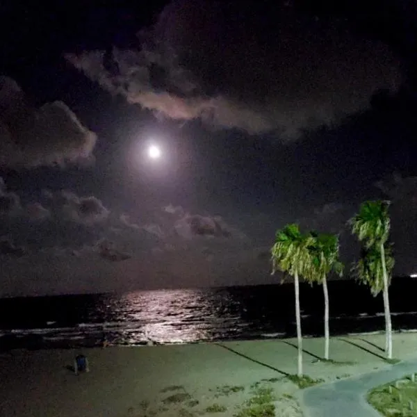 Spectacular Beach View!，位于科珀斯克里斯蒂的酒店