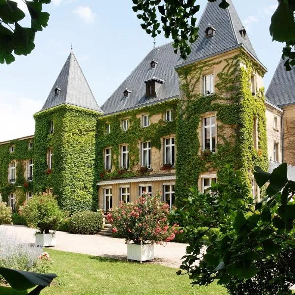 达多门尼勒城堡酒店，位于Athienville的酒店