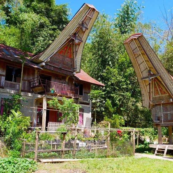 Ne Pakku Manja Family Home，位于兰特包的酒店