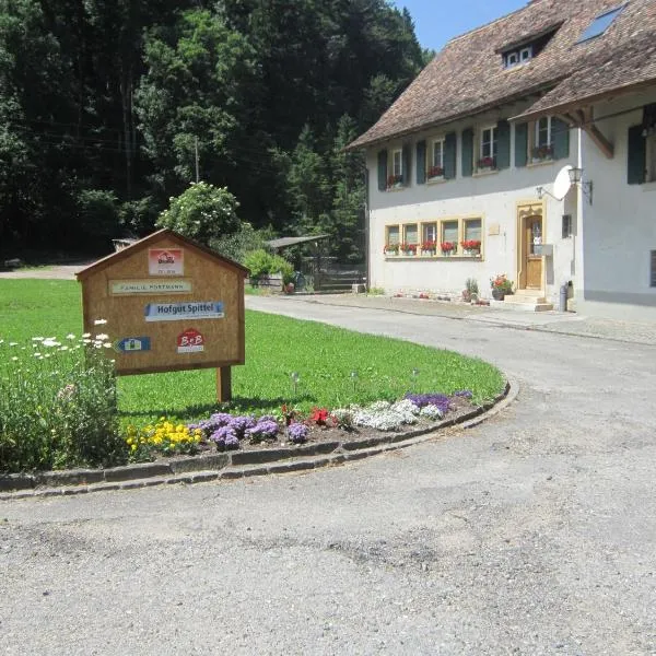 Gast und Hof Spittel，位于Langenbruck的酒店