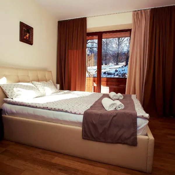 The Valley Bakuriani Belle Epoque Apartment & SPA，位于Molit'i的酒店