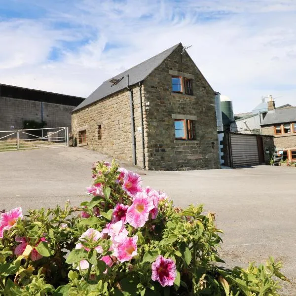 Shire Cottage at Top Butterley Farm，位于Tansley的酒店