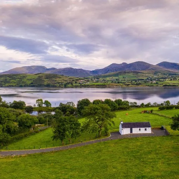 Lough Island Reavy Cottage，位于纽里的酒店