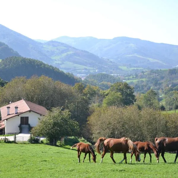 CASA RURAL Arriaran，位于Gaztelu的酒店