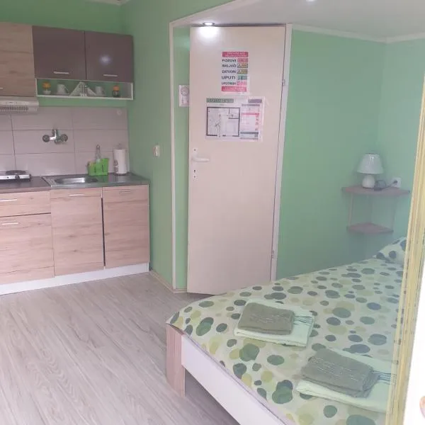 Apartman Andjela 1，位于维尔蒂尼克的酒店