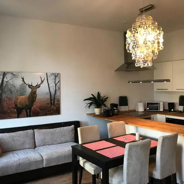 Apartament Galicja，位于赫扎努夫的酒店