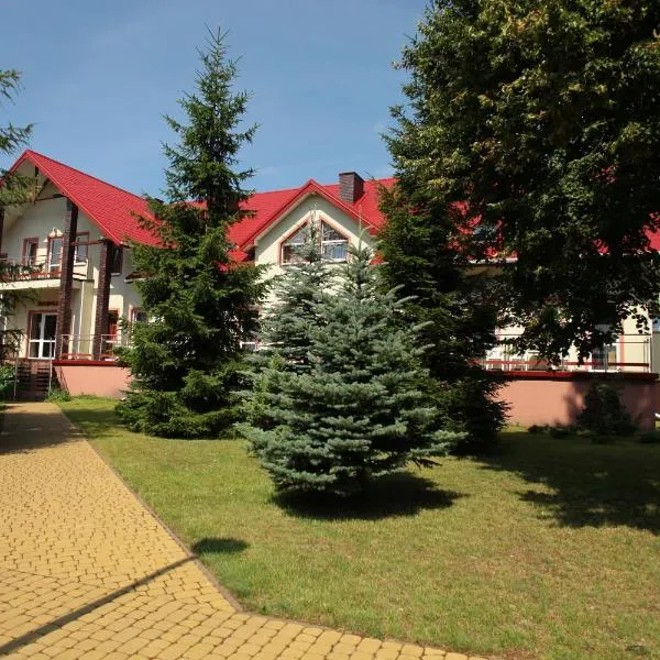 Hotel Nad Mrogą，位于Dmosin的酒店
