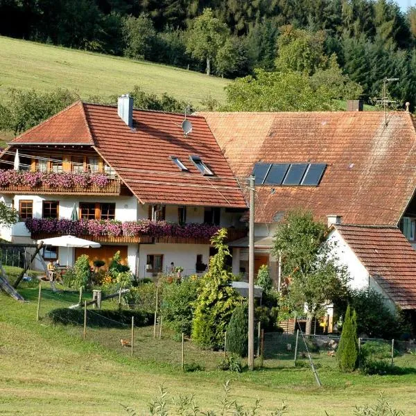 Ferienhaus Gehring，位于Schuttertal的酒店