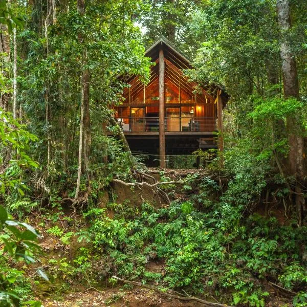 天篷雨林树屋及野生动物保护区酒店，位于Herberton的酒店