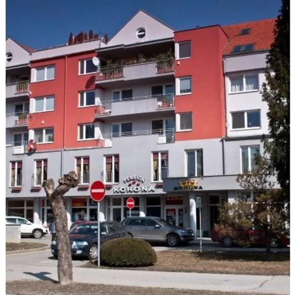 Pension Korona，位于Beluša的酒店