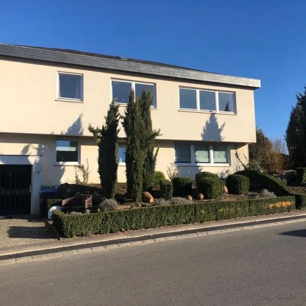 Ferienwohnung Casa Catharina，位于Waldrach的酒店