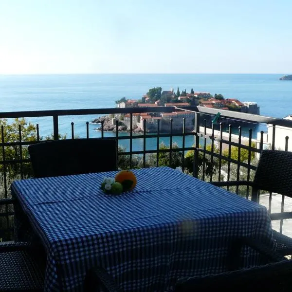 Guest house Živković，位于斯韦蒂·斯特凡的酒店