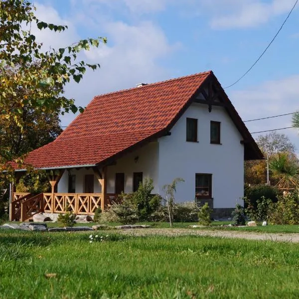 Pod klonem z Balią i Sauną，位于Chełmsko Śląskie的酒店