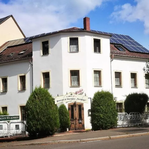 Pension & Gasthaus Nostalgie，位于开姆尼茨的酒店