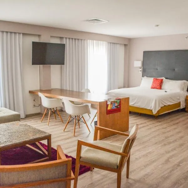 Stain Loft & Suites，位于伊拉普阿托的酒店