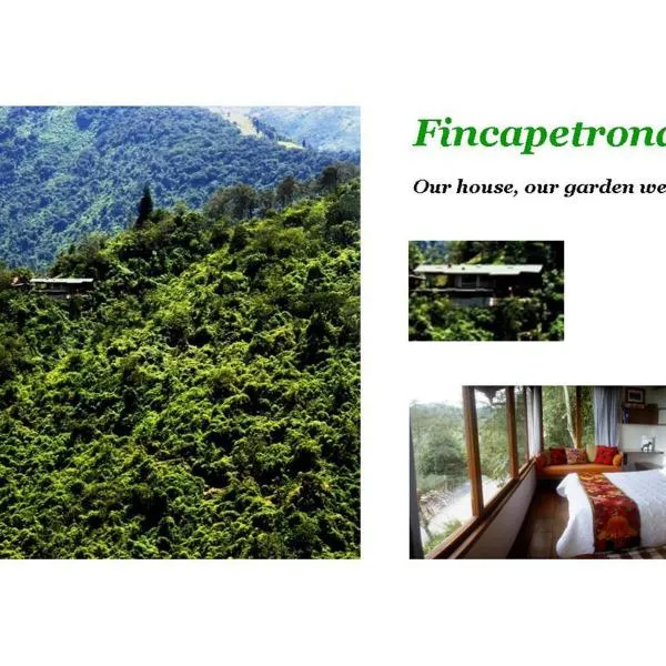 Finca Petrona，位于Nanegal的酒店