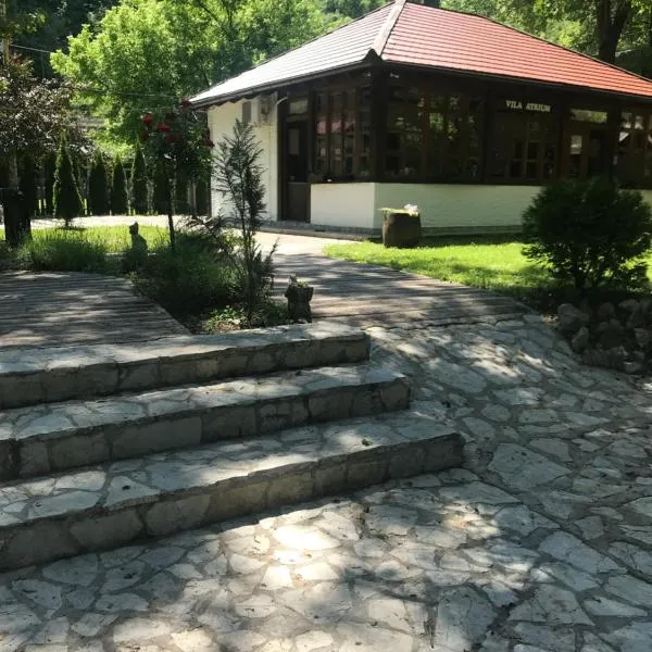 ATRIUM Holiday home，位于Bužim的酒店