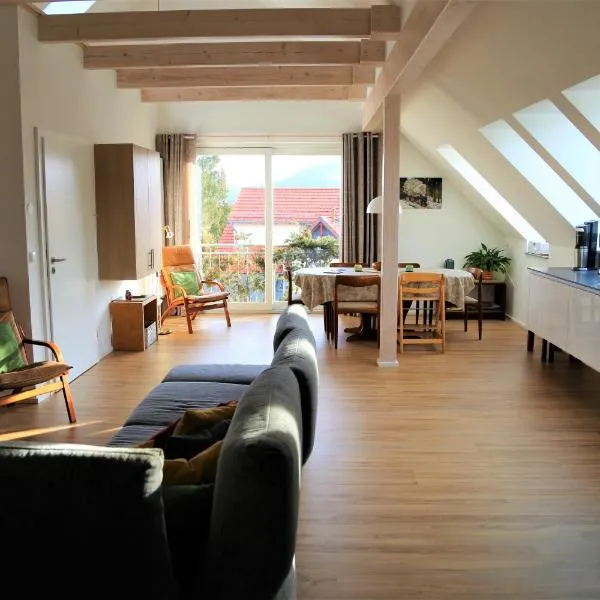 Altes Logierhaus，位于韦尼格罗德的酒店
