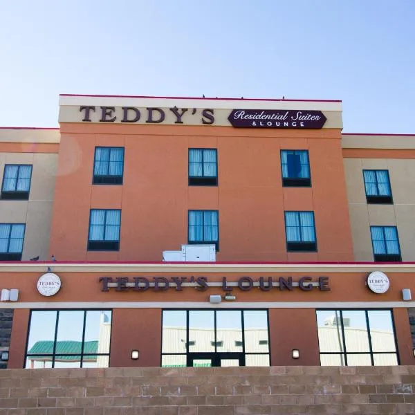 泰迪纽尔酒店，位于New Town的酒店