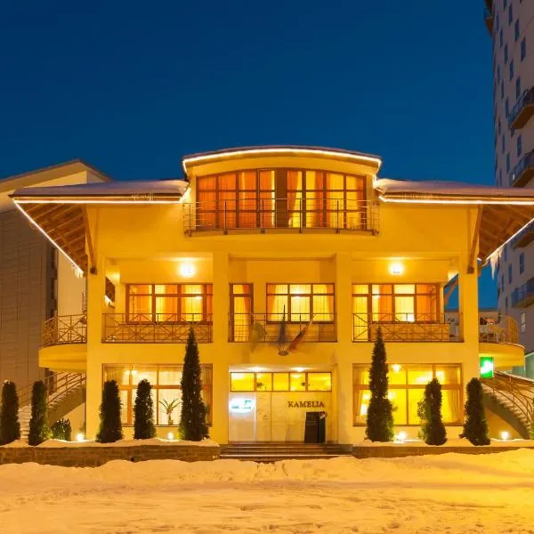 Penzión Kamélia，位于Babkov的酒店