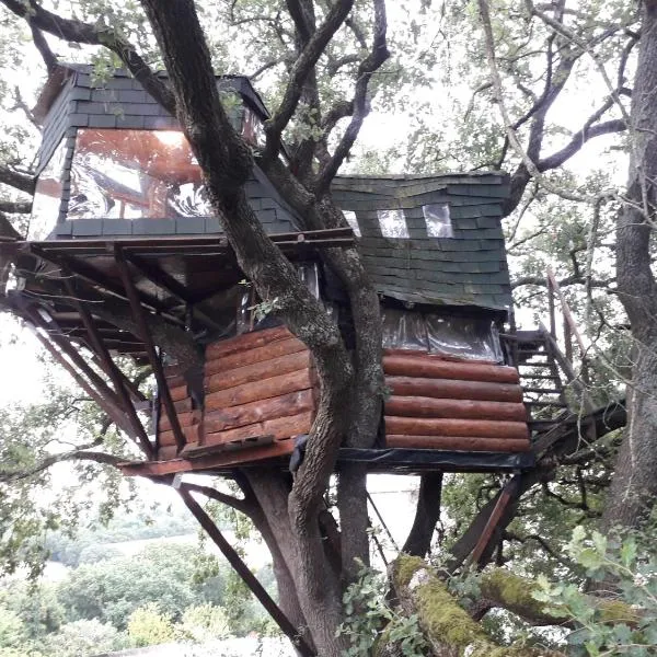 B&B La Cabane Insolite，位于Montpézat的酒店