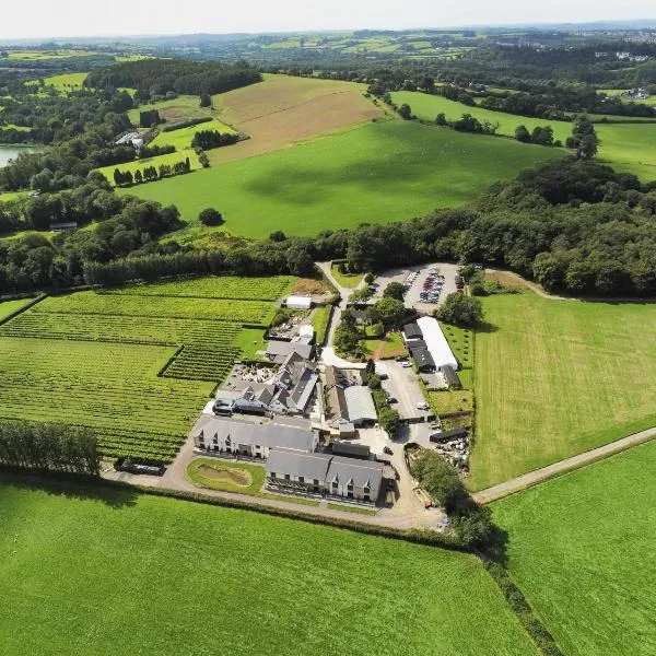 Llanerch Vineyard Hotel,位于翰索的酒店