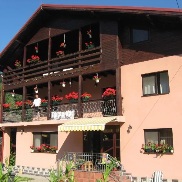 Pensiune Maria，位于Valea Hotarului的酒店
